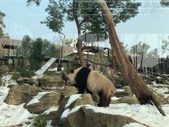 -武汉动物园
