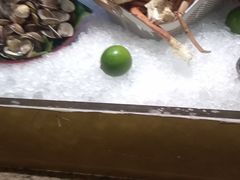 -上海锦江汤臣洲际大酒店壹阶层