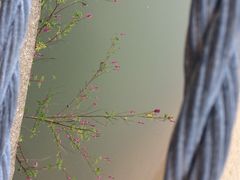 iphone_upload_pic-象山黄金海岸雷迪森酒店