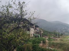 -缙云山景区