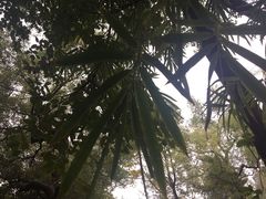 -晓港公园