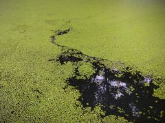 -成都市活水公园