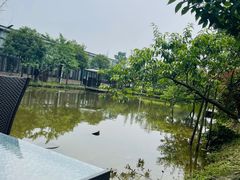 -洪湖家庭农场·团建·露营·会议