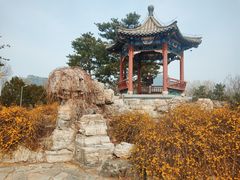 -大兴滨河森林公园