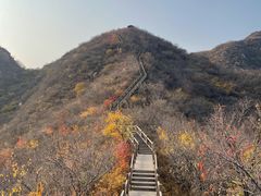 -大岭沟猕猴桃谷风景区