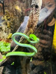 -酷嗒动物文化乐园(cutezoo西溪乐天城店)