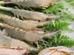 盐烤罗氏虾-白仁仔· 活烤海鲜 宵夜(豫园店)