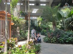 -南宫五洲植物乐园