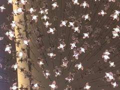 -广交会威斯汀酒店