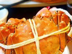 -蟹天蟹地农家菜·阳澄湖大闸蟹(浅水湾店)