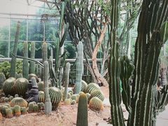-广州市白云山风景名胜区