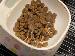 -PETKIT小佩宠物·低压洗护(国顺东路店)