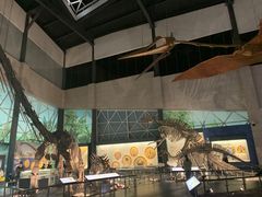 -湖南省地质博物馆