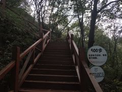 -大岭沟猕猴桃谷风景区