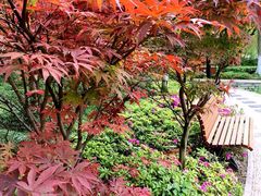 iphone_upload_pic-瞰胜楼