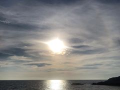 -ventus spa 沙巴亚庇正宗精油按摩会所