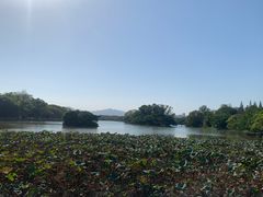 -江心屿景区
