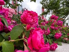 -UNI UNI(环亚凯瑟琳店)