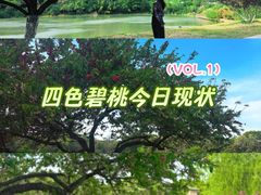 -汉陵苑