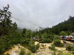 -黄龙山原始森林景区