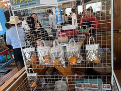 -蓝湾碧波·老字号·疍家非遗海上餐厅