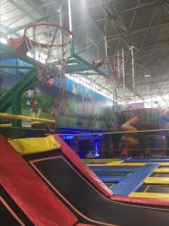 -爱丽丝奇幻乐园