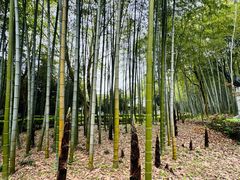 -兰亭风景区