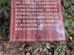 -基诺山寨.版纳民族特色菜