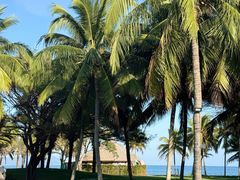 -海南清水湾莱佛士酒店