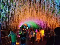-大塘金香草谷