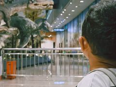 -湖南省地质博物馆