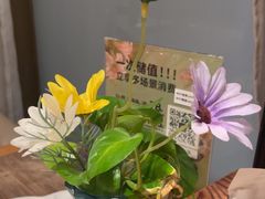 -云海肴·汽锅鸡·云南代表菜(浦江欢乐颂店)