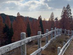 -神户市立六甲山牧场