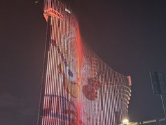 -演武大桥观景平台