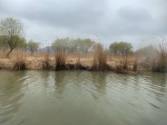 -长兴太湖图影湿地文化园