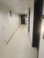 -月幸福月子中心(静安店)