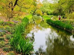 -上海共青森林公园