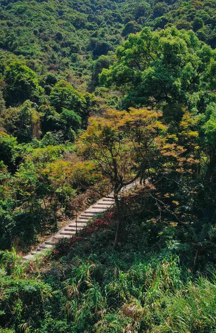 石岩阳台山自然风景区图片