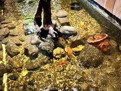 -邈墨茶馆(江南星座1店)