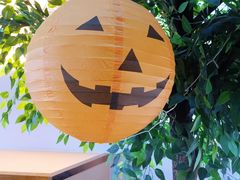 -Husky Go! 哈士奇体验馆·宠物咖啡厅狗咖