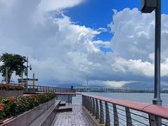 -深圳湾公园(南山区)