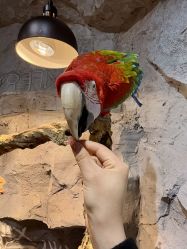 -Zoolung Zoolung动物主题公园(海信广场店)