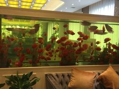 等位区-骏莱海鲜鱼港(五角场店)