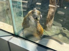 -南京金牛湖风景区