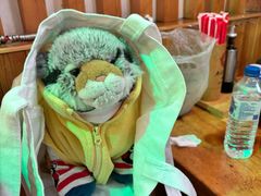 -老谷家黄泥烧鸽子·烧烤