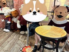 -济州岛泰迪熊博物馆