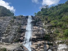 -海南热带雨林国家公园吊罗山景区