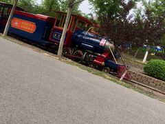 -永定河休闲森林公园