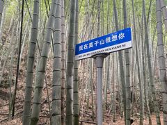 -莫干山风景区