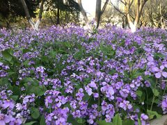 -白塘生态植物园